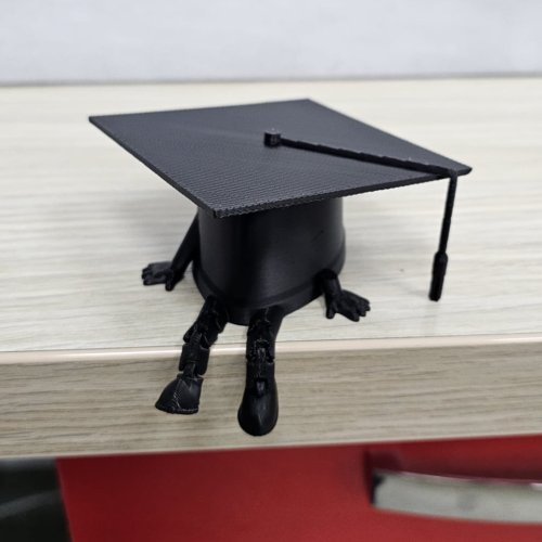 Sombrero Graduación Sentado